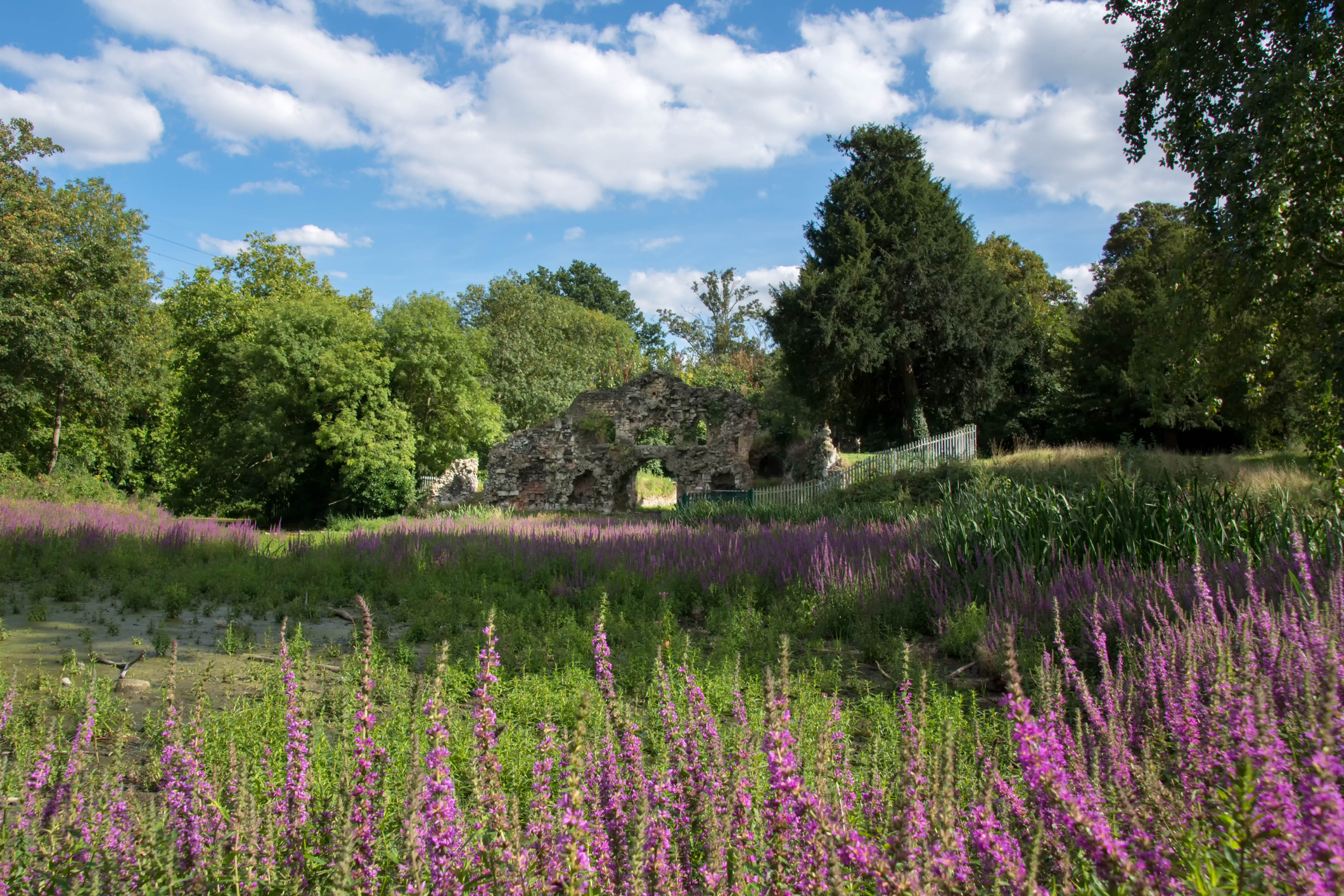 Wanstead Park